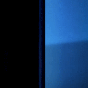 animation vs animator